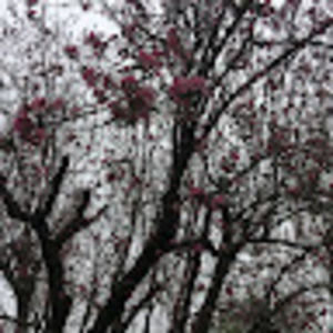 Meet your Posher, Faith